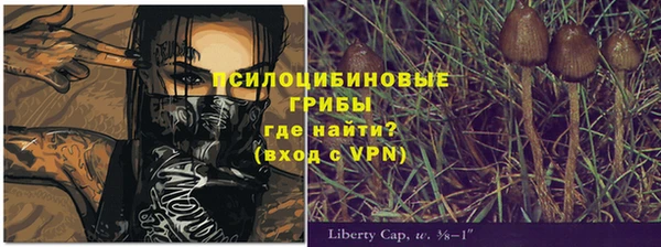 винт Алексин