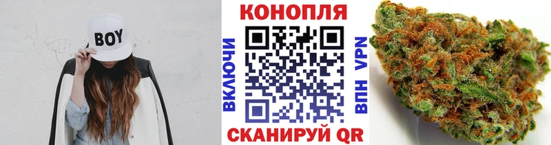 Бошки Шишки THC 21%  Жуков 